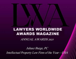 Worldwide IP Law Firm Award 2025